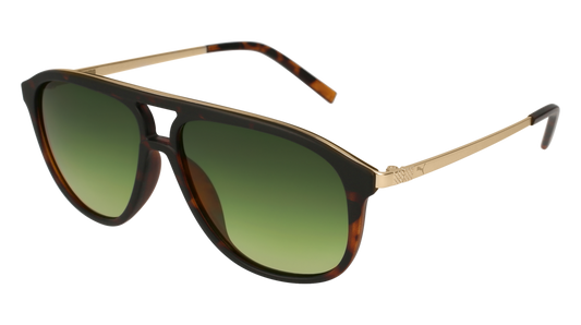 Puma Sunglass Man Havana Gold Green