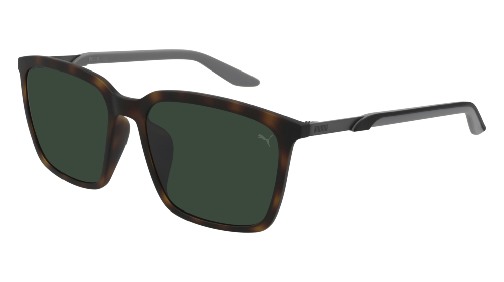 Puma Sunglass Man Havana Grey Green