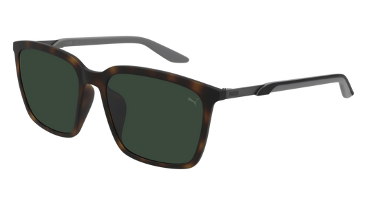 Puma Sunglass Man Havana Grey Green