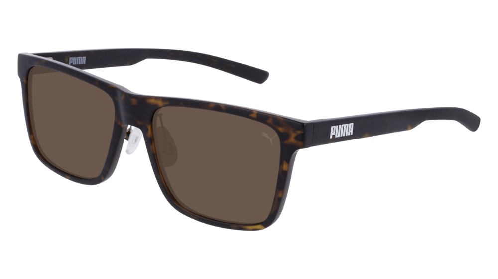 Puma Sunglass Man Havana Havana Brown