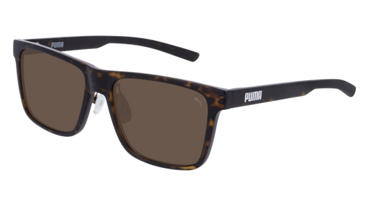 Puma Sunglass Man Havana Havana Brown