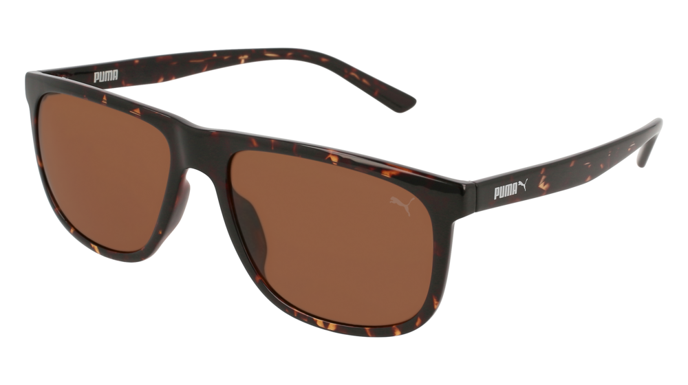 Puma Sunglass Man Havana Havana Brown