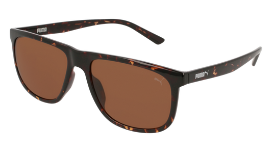 Puma Sunglass Man Havana Havana Brown