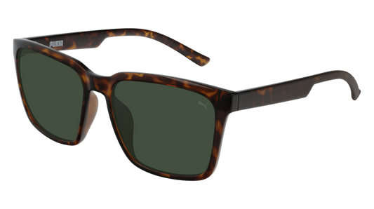 Puma Sunglass Man Havana Havana Green