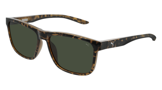 Puma Sunglass Man Havana Havana Green