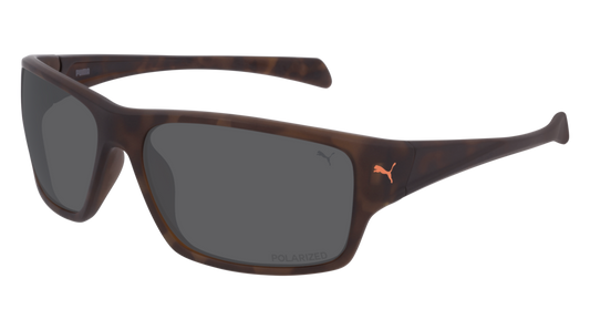 Puma Sunglass Man Havana Havana Smoke