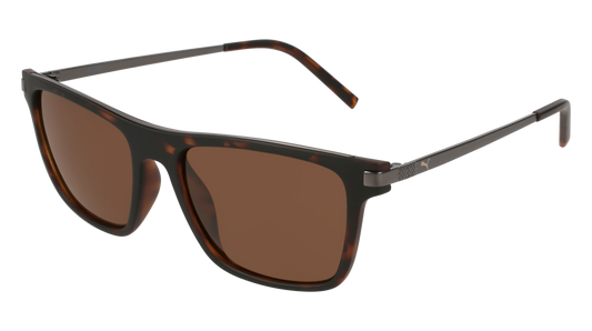 Puma Sunglass Man Havana Ruthenium Brown