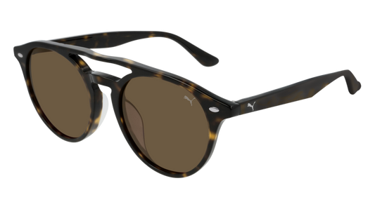 Puma Sunglass Unisex Havana Havana Brown