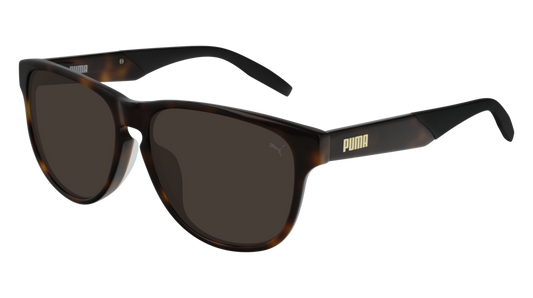 Puma Sunglass Unisex Havana Havana Brown