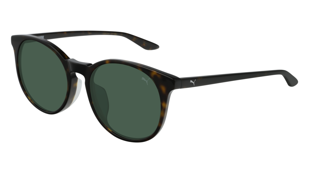 Puma Sunglass Unisex Havana Havana Green