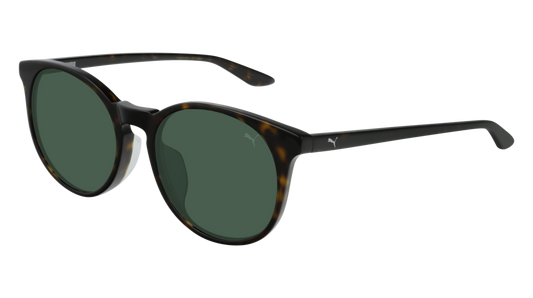 Puma Sunglass Unisex Havana Havana Green