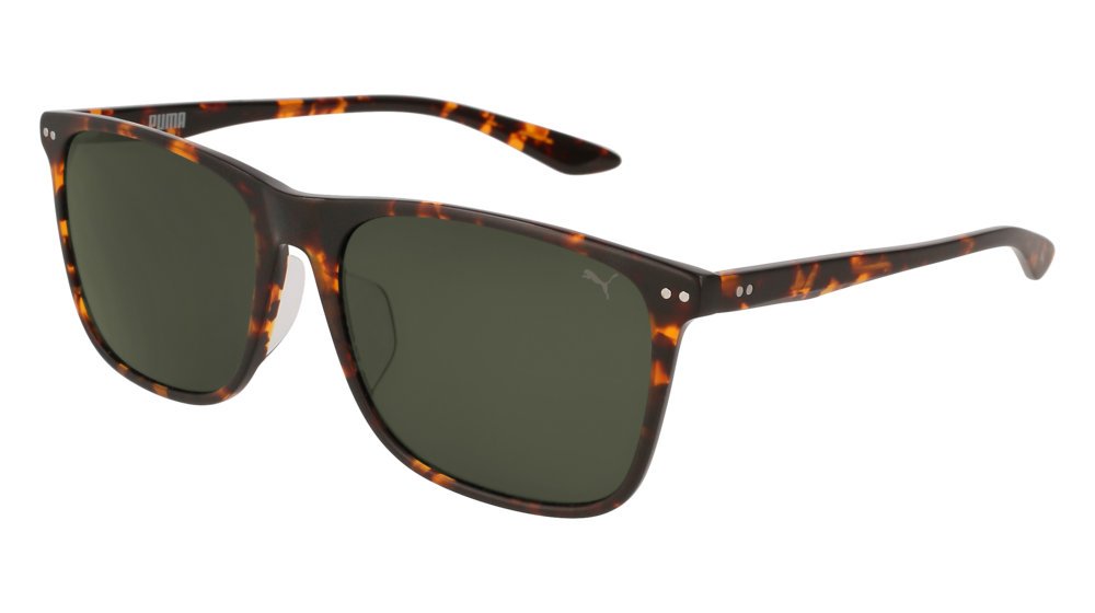 Puma Sunglass Unisex Havana Havana Green