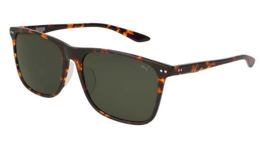 Puma Sunglass Unisex Havana Havana Green