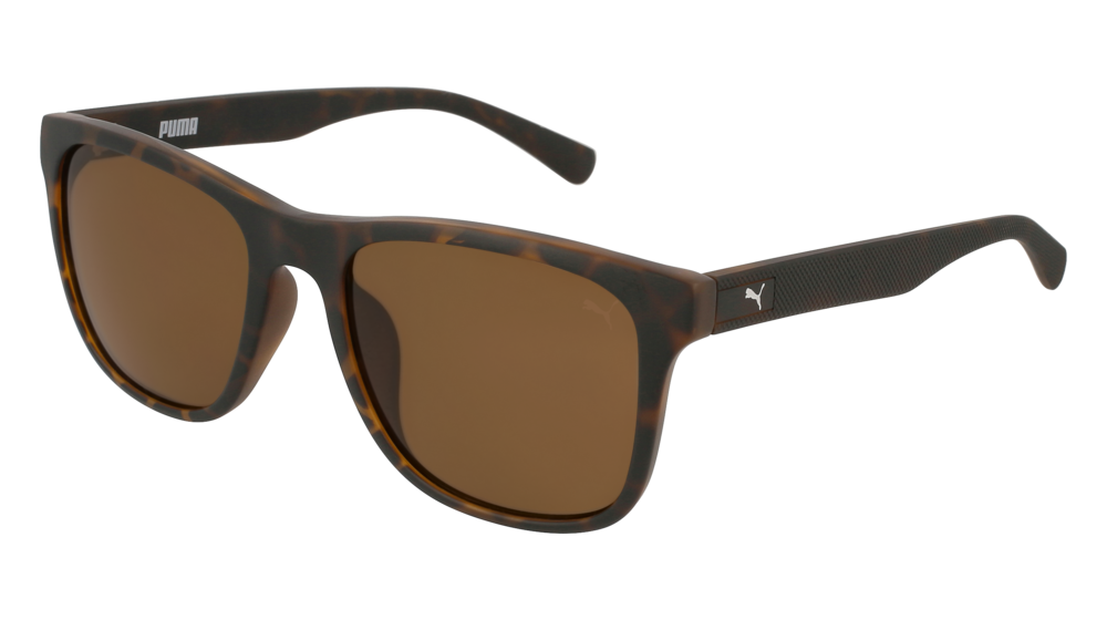 Puma Sunglass Unisex Havana Havana Brown