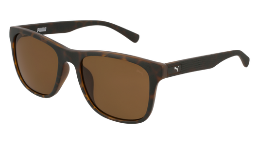 Puma Sunglass Unisex Havana Havana Brown