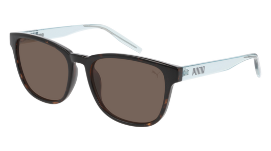 Puma Sunglass Unisex Havana Light Blue Brown