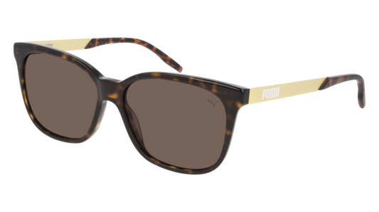 Puma Sunglass Woman Havana Gold Brown