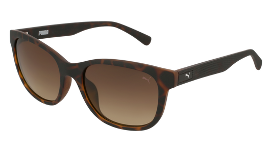 Puma Sunglass Woman Havana Havana Brown