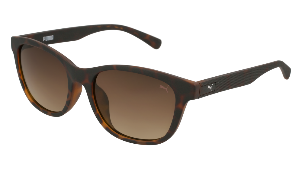 Puma Sunglass Woman Havana Havana Brown