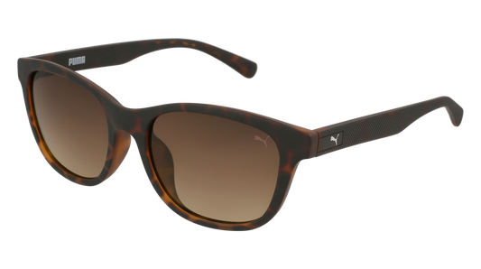 Puma Sunglass Woman Havana Havana Brown