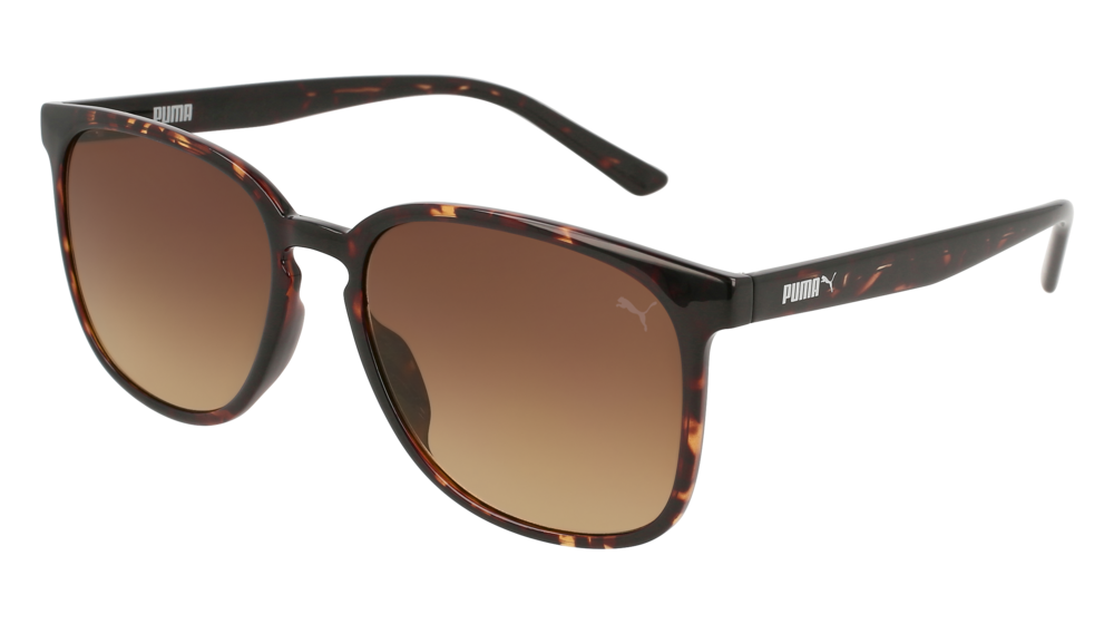 Puma Sunglass Woman Havana Havana Brown