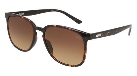 Puma Sunglass Woman Havana Havana Brown