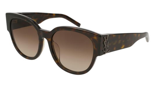 Saint Laurent Sunglass Woman Havana Havana Brown