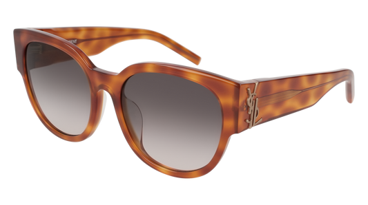 Saint Laurent Sunglass Woman Havana Havana Grey